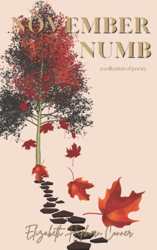 Stock image for November Numb for sale by Ria Christie Collections