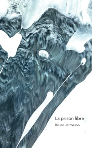 Beispielbild fr La prison libre zum Verkauf von Ria Christie Collections
