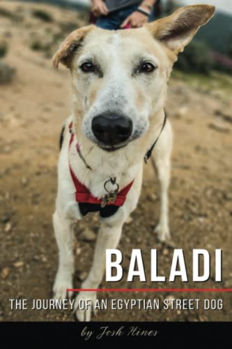 Beispielbild fr Baladi: The Journey of an Egyptian Street Dog zum Verkauf von AwesomeBooks