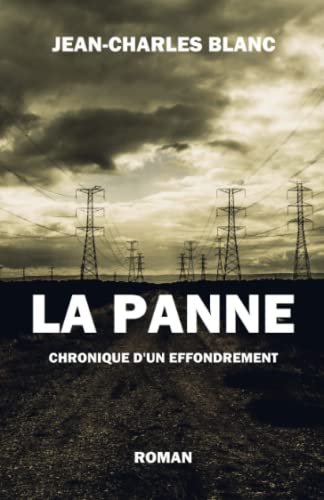 Beispielbild fr LA PANNE: CHRONIQUE D'UN EFFONDREMENT zum Verkauf von medimops