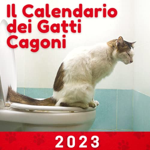 GATTI CHE CAGANO CALENDARIO 2023: Il calendario 2023 dei gatti