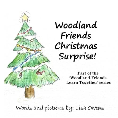 Stock image for Woodland Friends Christmas Surprise!: Part of the Woodland Friends Learn Together series for sale by Brit Books