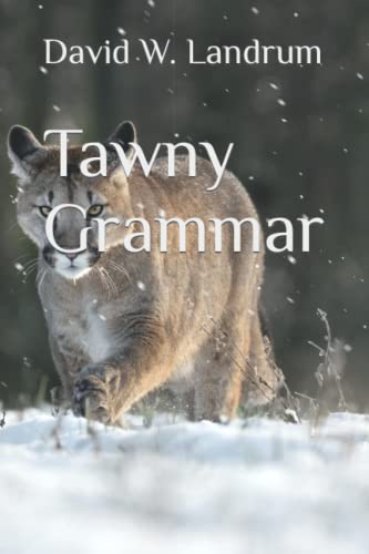 Stock image for Tawny Grammar for sale by Ria Christie Collections