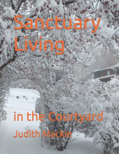 Beispielbild fr Sanctuary Living: in the Courtyard zum Verkauf von Big River Books