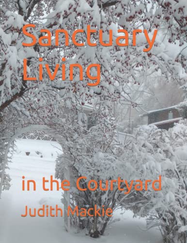 Imagen de archivo de Sanctuary Living: in the Courtyard a la venta por Big River Books