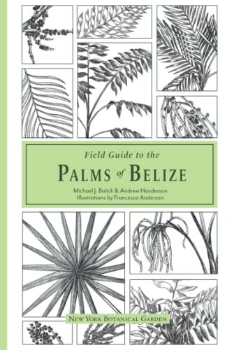 Stock image for Field Guide to the Palms of Belize for sale by Omega