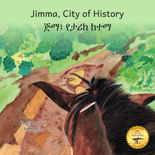 Stock image for Jimma, City Of History for sale by GreatBookPrices