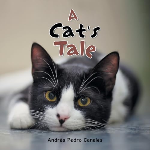 Beispielbild fr A Cat's Tale zum Verkauf von California Books