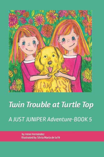 Imagen de archivo de Twin Trouble At Turtle Top a la venta por GreatBookPrices