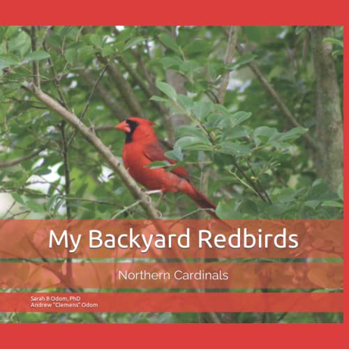 Stock image for My Backyard Redbirds for sale by GreatBookPrices