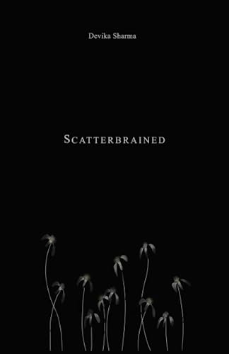 9798841178668: Scatterbrained