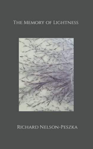 Beispielbild fr The Memory of Lightness zum Verkauf von AHA-BUCH GmbH