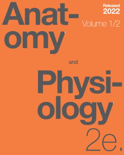 Stock image for Anatomy and Physiology 2e (Volume 1/2) for sale by Omega