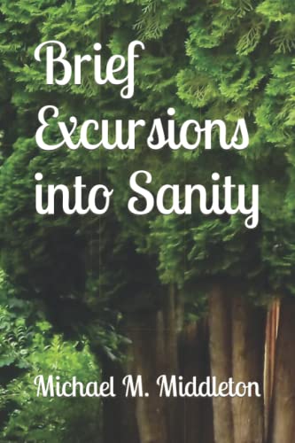 Beispielbild fr Brief Excursions into Sanity zum Verkauf von Ria Christie Collections