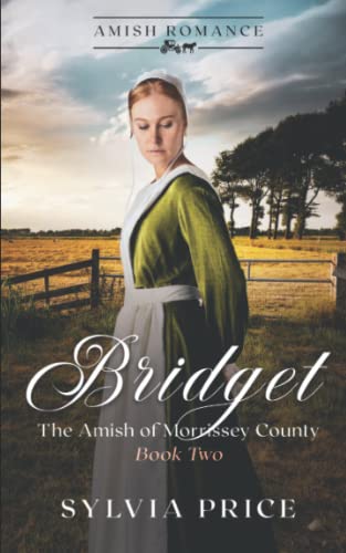 Imagen de archivo de Bridget (The Amish of Morrissey County Book Two): An Amish Romance a la venta por HPB Inc.