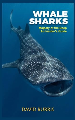 Stock image for Whale Sharks for sale by PBShop.store US