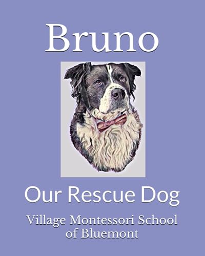 9798854540292: Bruno: Our Rescue Dog