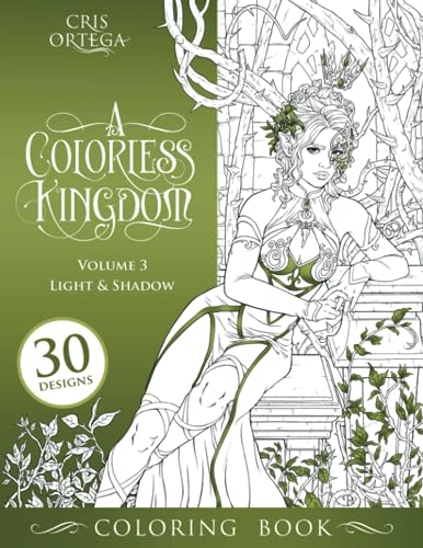 Beispielbild fr A Colorless Kingdom: Volume 3 - Light & Shadow zum Verkauf von medimops