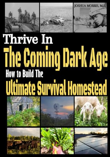 Stock image for Thrive in the Coming Dark Age: How to Build the Ultimate Survival Homestead for sale by GreatBookPricesUK