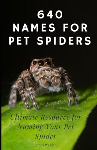 Stock image for 640 Names for Pet Spiders for sale by Ria Christie Collections