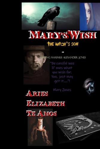 Beispielbild fr Marys Wish zum Verkauf von PBShop.store US