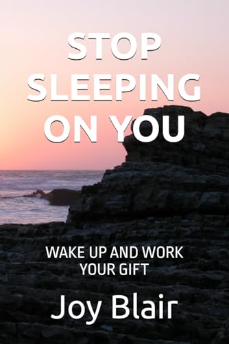 Imagen de archivo de Stop Sleeping on You: Wake Up and Work Your Gift a la venta por GreatBookPrices