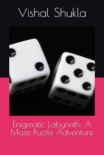 9798866709519: Enigmatic Labyrinth: A Maze Puzzle Adventure