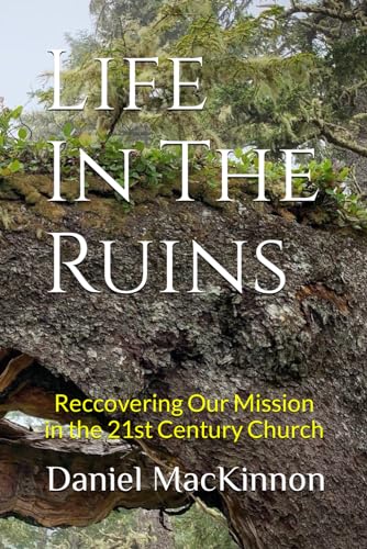 Stock image for Life In The Ruins: An Urban Missiology for the 21st Century Church for sale by California Books