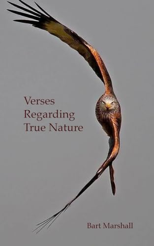 Imagen de archivo de Verses Regarding True Nature a la venta por GreatBookPrices