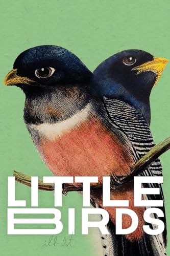 9798869129116: Little Birds (green)
