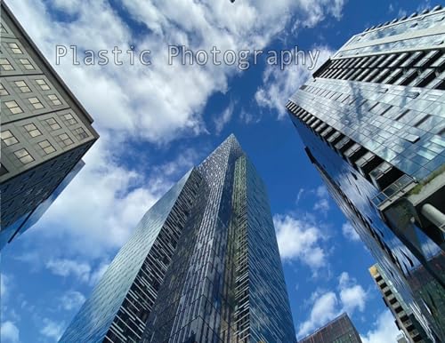 Stock image for Plastic Photography 2k23: Seattle's Safari for sale by GreatBookPricesUK