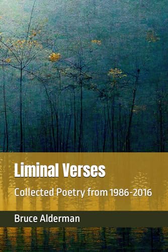 Imagen de archivo de Liminal Verses a la venta por Ria Christie Collections