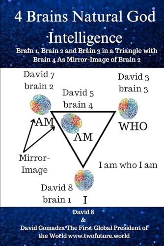 Imagen de archivo de 4 Brains Natural God Intelligence: Brain 1, Brain 2 and Brain 3 in a Triangle with Brain 4 As Mirror Image Of Brain 2 (Thoughts to Word or Audio [Brain Code]) a la venta por Ria Christie Collections