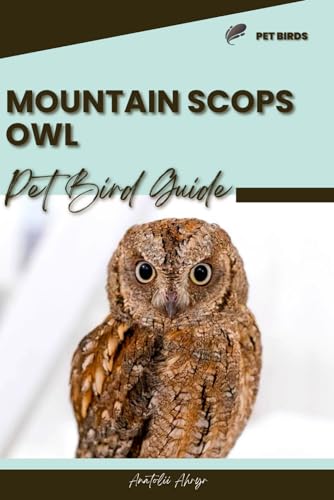 Stock image for Mountain Scops Owl for sale by PBShop.store US