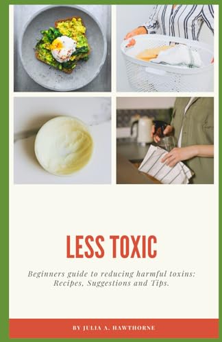 9798875831577: Less Toxic: Beginners guide to reducing harmful toxins: Recipes, Suggestions and tips