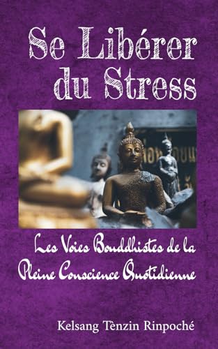 Beispielbild fr Se Librer du Stress (Paperback) zum Verkauf von Grand Eagle Retail