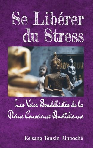 Stock image for Se Librer du Stress (Paperback) for sale by Grand Eagle Retail
