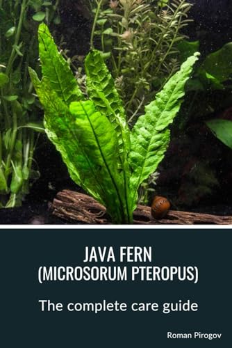Beispielbild fr Java fern (microsorum pteropus): The complete care guide zum Verkauf von Ria Christie Collections