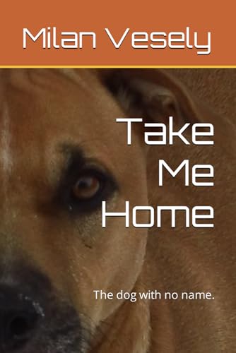 Stock image for Take Me Home (Paperback) for sale by Grand Eagle Retail