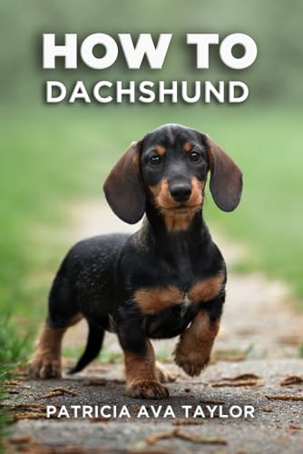 Beispielbild fr How to Dachshund: A Tail-Wagging Guide to Care, Training and Grooming Bliss zum Verkauf von California Books