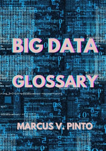 Beispielbild fr BIG DATA - GLOSSARY: 7 zum Verkauf von Ria Christie Collections
