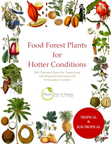 Beispielbild fr Food Forest Plants for Hotter Conditions: 250+ Perennial Plants For Tropical and Sub-Tropical Food Forests and Permaculture Gardens zum Verkauf von California Books