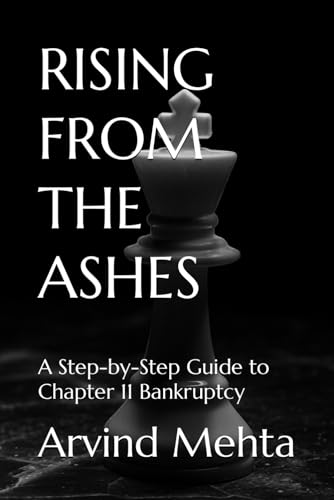 9798883905567: RISING FROM THE ASHES: A Step-by-Step Guide to Chapter 11 Bankruptcy