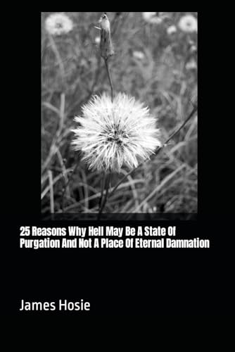 Stock image for 25 Reasons Why Hell May Be A State Of Purgation And Not A Place Of Eternal Damnation (Paperback) for sale by Grand Eagle Retail