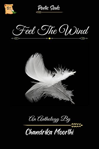 Stock image for Feel The Wind for sale by Chiron Media