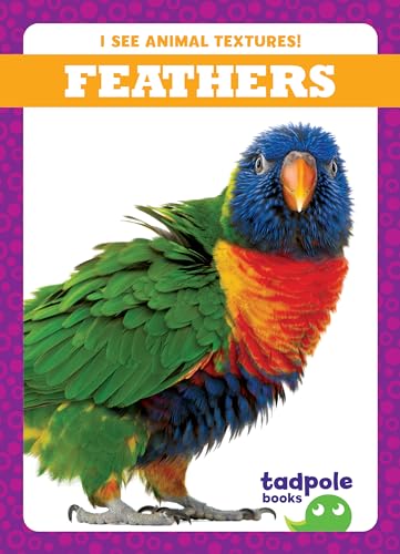 Stock image for Feathers for sale by GreatBookPrices