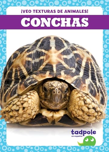 Stock image for Conchas -Language: Spanish for sale by GreatBookPrices