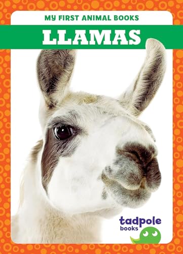 9798885246712: Llamas (My First Animal Books)