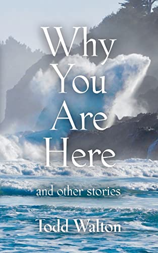 Stock image for Why You Are Here: and other stories for sale by Big River Books
