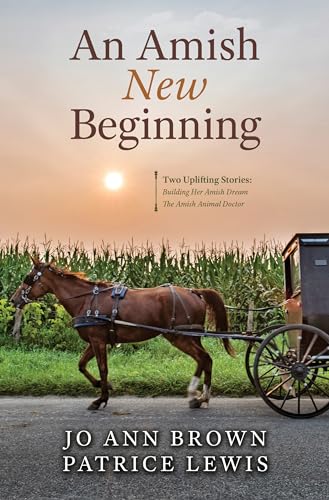9798885797634: An Amish New Beginning